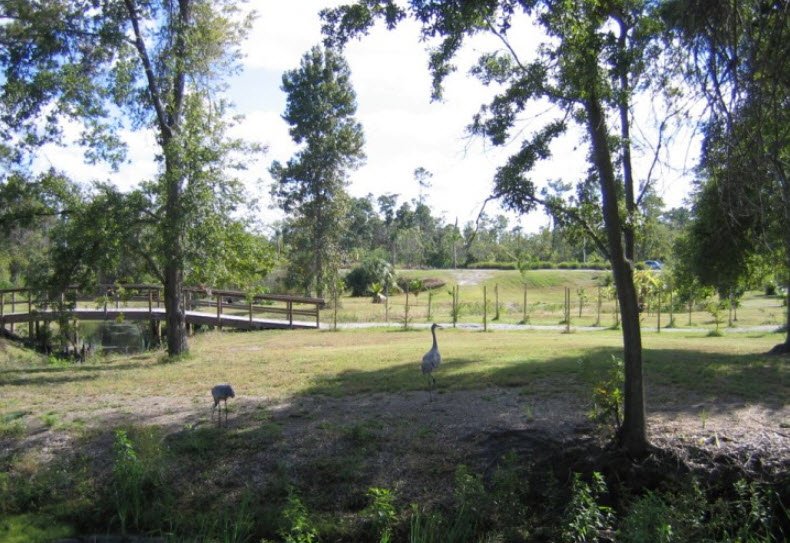 UCF Arboretum, United States